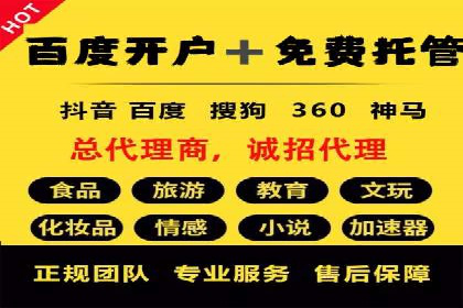 百度竞价运营策略：成功案例解析